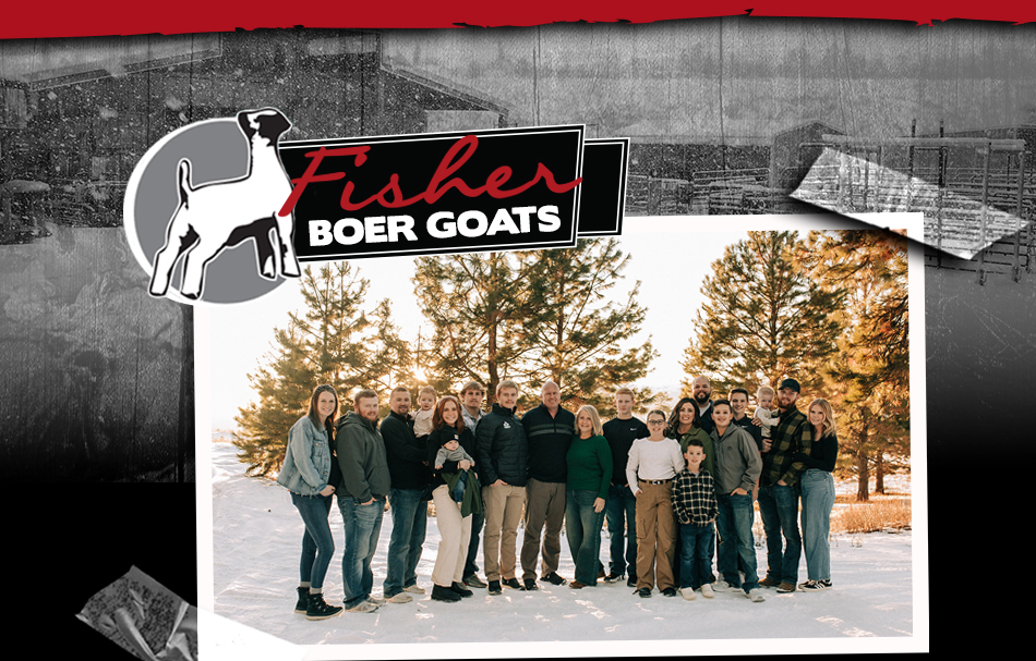 Fisher Boer Goats