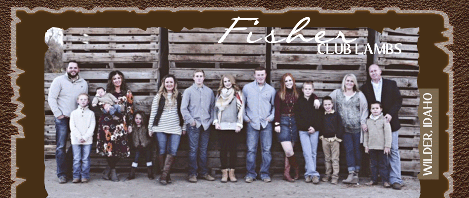 Fisher Club Lambs - Wilder, ID