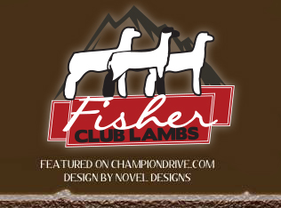 Fisher Club Lambs