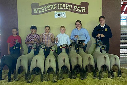 fisher Club Lambs Winners