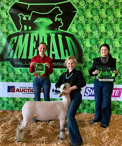 Fisher Club Lambs Winners