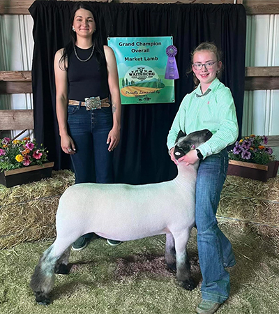 Fisher Club Lambs Winners